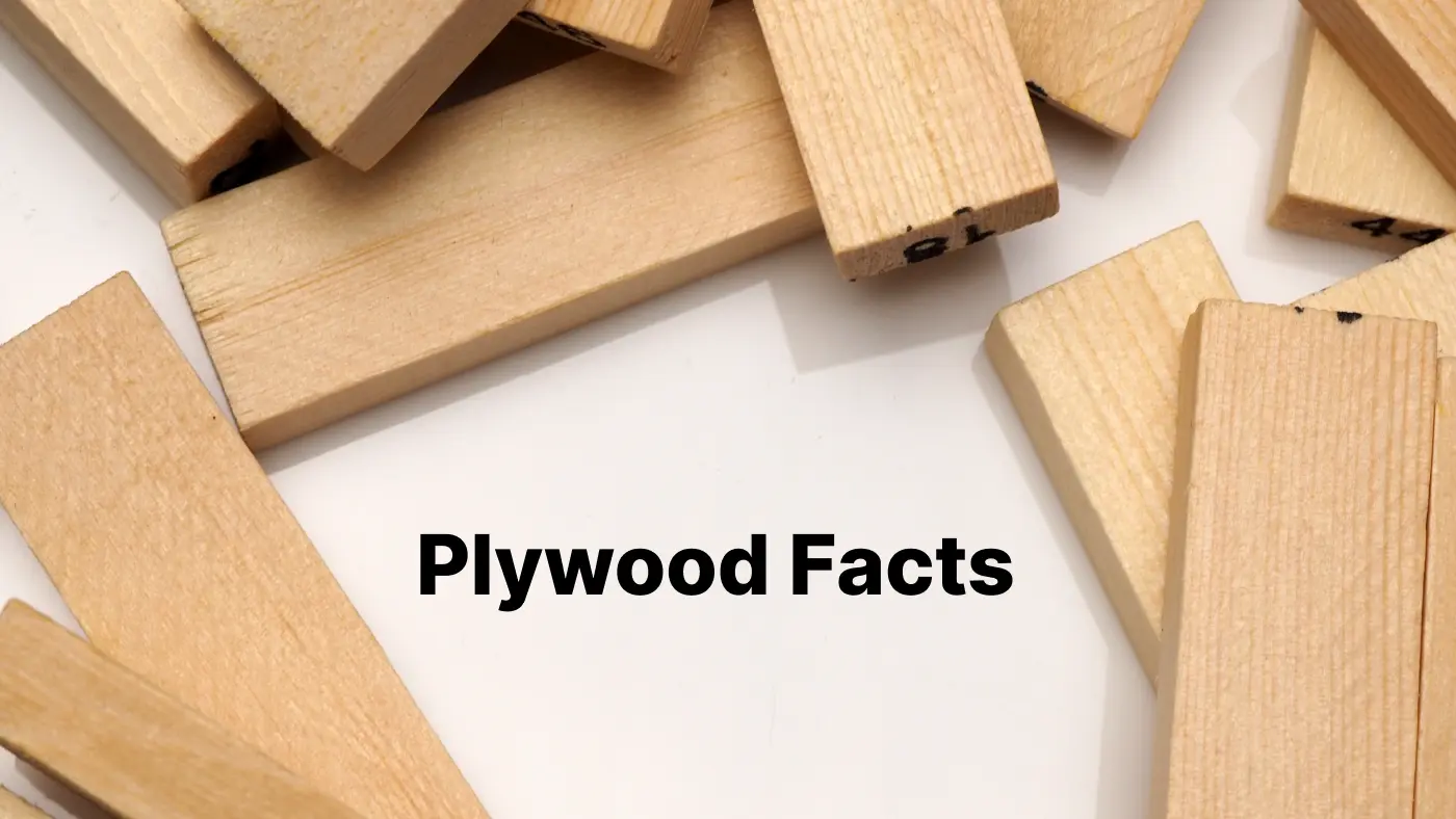 Facts about plywood