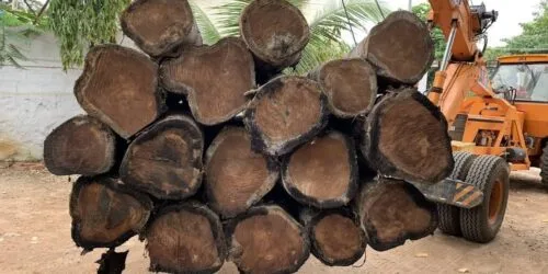 budget-friendly teak wood round logs