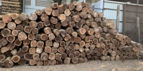 teak wood round logs wholesaler
