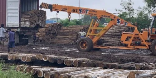 We have teak wood logs in all sizes