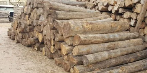 best teak wood round logs