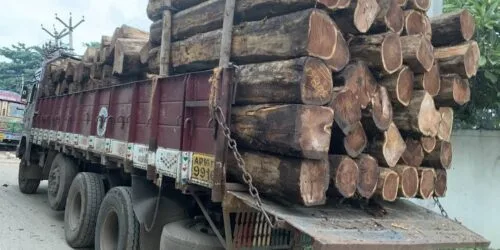 teak wood round logs importers in South India