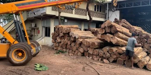 teak wood logs for importers in South India