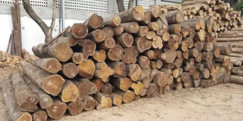 Affordable teak wood round logs