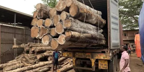 teak wood round logs distributors in South India