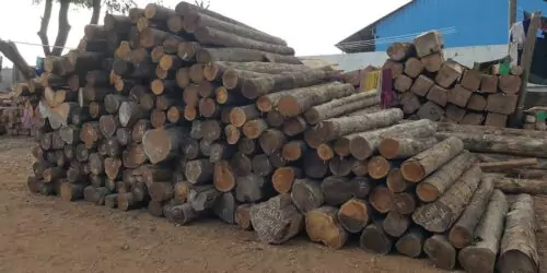teak wood round logs