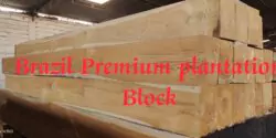 Brazil premium plantation block