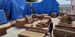 Teak Timber at the Lowest Price